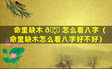 命里缺木 🦅 怎么看八字（命里缺木怎么看八字好不好）